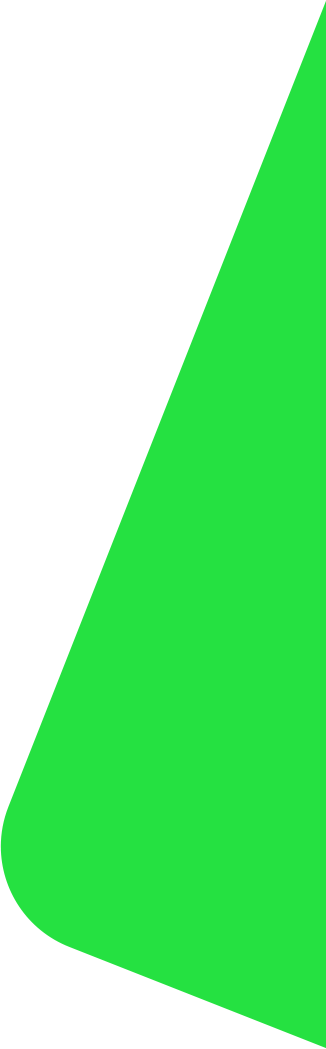 arco verde para decoração